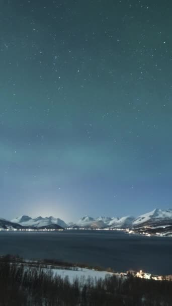 冬夜有星空和雪山的绿色北极光 Balsfjorden Troms 时间流逝 垂直录像 — 图库视频影像