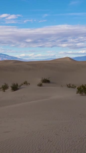 Mesquite Επίπεδη Αμμόλοφους Για Sunny Day Εθνικό Πάρκο Της Κοιλάδας — Αρχείο Βίντεο