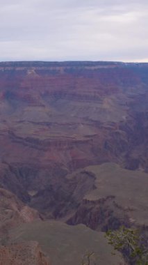 Büyük Kanyon. Güney Rim. Arizona USA. Eğil. Dikey Video