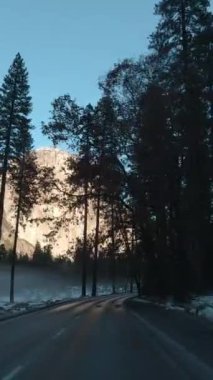 Güneşli bir günde Yosemite Vadisi 'nde araba sürmek. Kaliforniya, ABD. El Capitan Dağı. Dikey Video