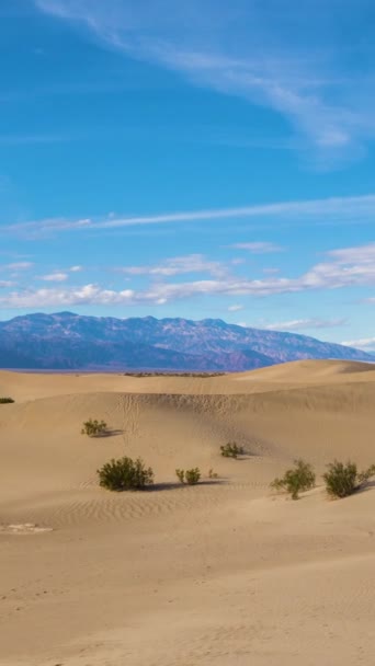 阳光明媚的日子里 沙尘变得平缓了 死亡谷国家公园加州 移动潘宁时间拉普 垂直录像 — 图库视频影像