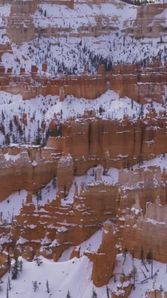 Bryce Canyon Hoodoos Vintern Utah Usa Jag Panorerar Vertikal Video — Stockvideo