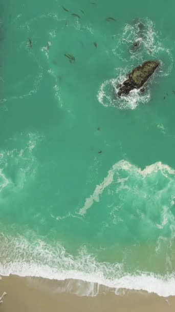 Mcway Beach Mcway Falls Rocks Big Sur California Vista Vertical — Vídeo de stock