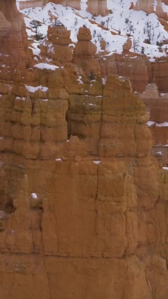 布莱斯峡谷Hoodoos在冬天 美国犹他州 倾斜起来 垂直录像 — 图库视频影像