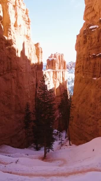 Bryce Canyon Invierno Ruta Navajo Loop Trail Parque Nacional Bryce — Vídeo de stock