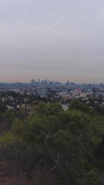 ロサンゼルス市の朝 カリフォルニア アメリカ アリアルビュー ハリウッドヒルズからの眺め ドローン フライズが前方と上方に向かって ショットを明らかにする バーティカルビデオ — ストック動画