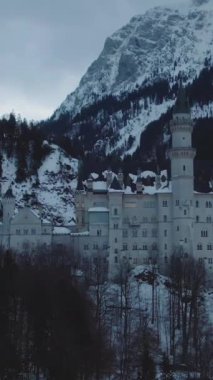 Kış Günü 'nde Neuschwanstein Şatosu. Bavyera Alpleri, Almanya. Hava görüntüsü. Geniş açı. İnsansız hava aracı yukarı, aşağı uçuyor. Dikey Video