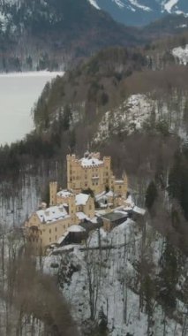 Hohenschwangau Kalesi ve Kış Günü Alpsee Gölü. Dağlar ve Orman. Bavyera Alpleri, Almanya. Hava görüntüsü. Geniş açı. Drone yörüngede. Dikey Video