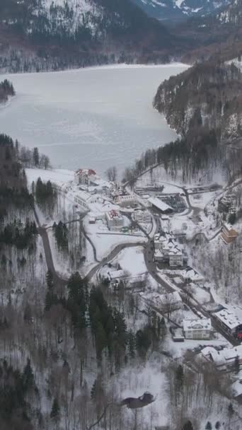 冬日的阿尔珀斯湖和霍亨施万高城堡 山区和森林 德国巴伐利亚阿尔卑斯山 空中景观 开了一枪飞行员向前飞 倾斜向上 垂直录像 — 图库视频影像