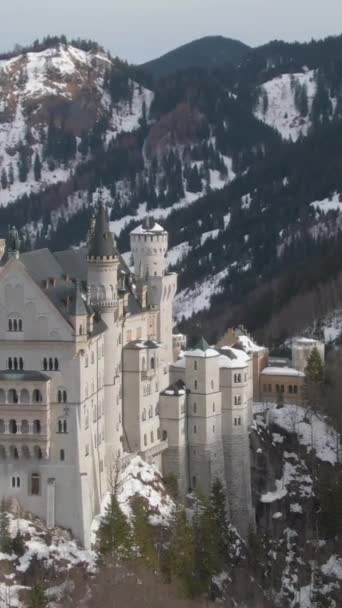 Castello Neuschwanstein Sulla Roccia Nel Giorno Inverno Montagne Foresta Alpi — Video Stock