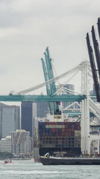 Containerschiff Entladung Hafen Von Miami Und Der Innenstadt Von Miami — Stockvideo