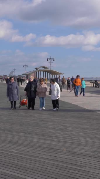 New York City Usa November 2018 Brighton Beach Embankment People — Stock Video