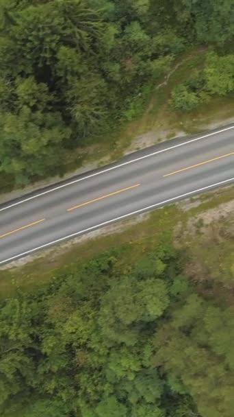 Gray Car Ligt Straight Road Green Forest Noorwegen Tijdens Zomerdag — Stockvideo
