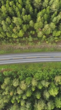 Otomobil Norveç 'te Yeşil Kozalaklı Orman' da yaz günü Country Road 'a gidiyor. Havadan Yukarıdan Aşağı Görünümü. İnsansız hava aracı Yanlamasına uçuyor. Dikey Video