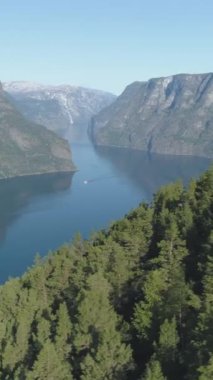 Aurlandsfjord Norveç 'te Sognefjord' un bir parçası olarak ve Ağaçlı Yeşil Dağ 'da Güneşli Yaz Günü. Norveç fiyortlarının manzarası. Hava görüntüsü. Drone Yanlamasına Uçuyor ve Yükseliyor. Dikey Video
