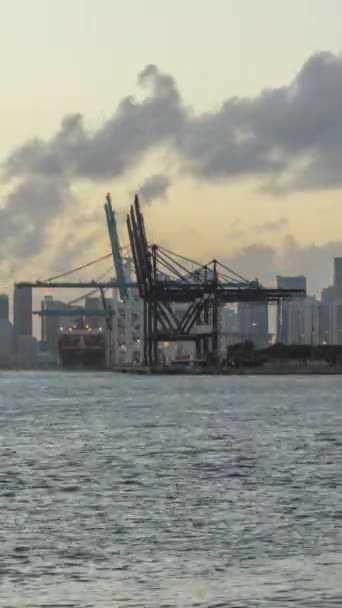 Miami Eua Novembro 2018 Day Night Time Lapse Miami Port — Vídeo de Stock