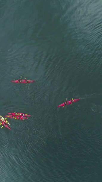 Gruppo Kayak Acqua Turchese Del Fiordo Geiranger Norvegia Vista Verticale — Video Stock