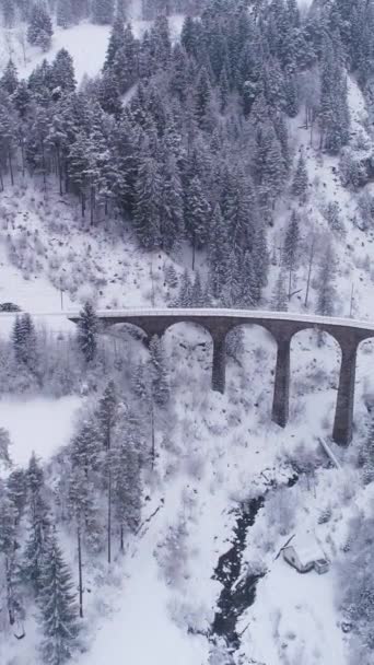 Viadukt Und Bahn Wintertag Den Schweizer Alpen Schneegestöber Die Schweiz — Stockvideo