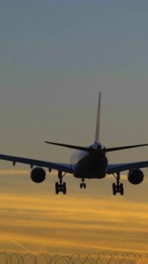 Renkli Günbatımında Airplane Landing 'in silueti. Ağır çekim. Arka Manzara. Dikey Video