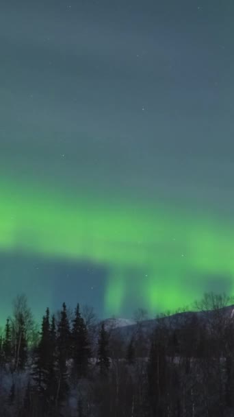 Northern Lights Time Lapse Vertical Video — Stock Video