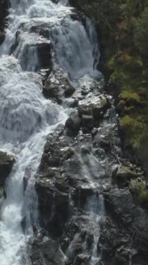 Norveç 'te Şelale, Kayalar ve Yeşil Ağaçlar. Hava görüntüsü. Drone yukarı doğru uçuyor. Dikey Video