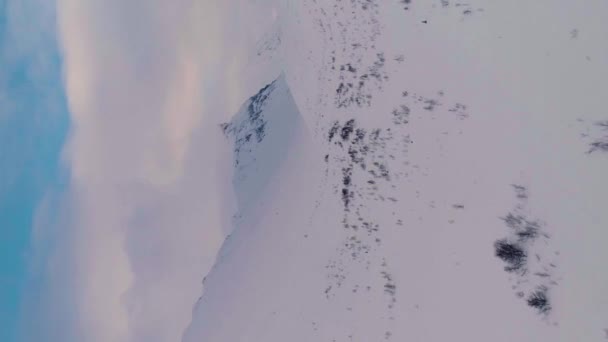Дрон Летит Вперед Снежных Горах Вид Воздуха Установление Выстрела Вертикальное — стоковое видео