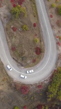 Arabalar yılanlı dağ yolunda dönüyorlar. Hava dikey üst görünümü. Dikey Video