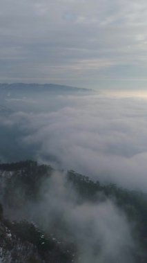 Ağaçlı, karlı bir dağ yamacı. Drone bulutların üzerinde uçuyor. Dikey Video