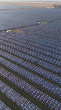 Güneşli bir gecede büyük mavi fotovoltaik güneş panelleri alanı. Hava görüntüsü. Aşağı ve ileri doğru uçuyor. Çekim başlıyor. Dikey Video