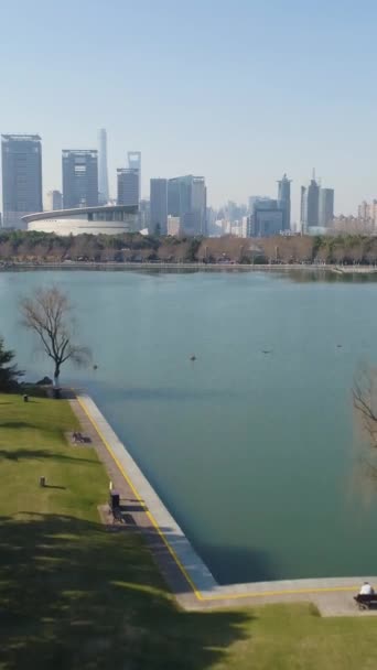 Century Park Mit Einem Großen See Shanghai Sunny Day Die — Stockvideo