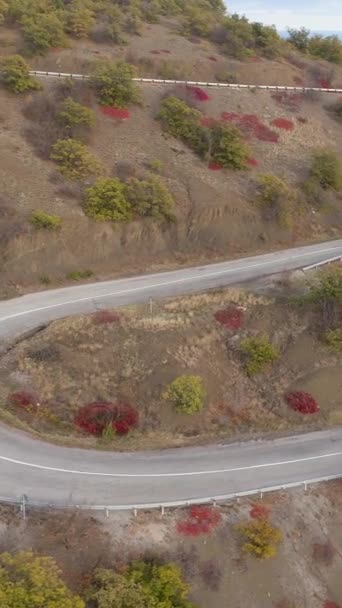 白いクロスオーバーカーは蛇の山道を走っています 空からの眺め ドローンは車を追っている バーティカルビデオ — ストック動画