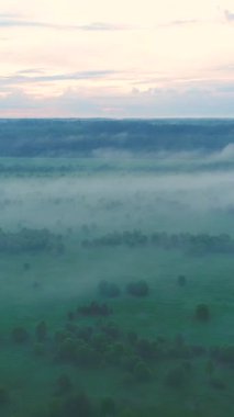 Sabahları ağaçların ve tarlaların üzerinde uçmak. Hava görüntüsü. Sıcak renkler. Dikey Video