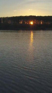 Alçak açı gölün üzerinde ağaçların arkasında güneşe karşı uçuyor. Gün batımı ve renkli gökyüzü. Dikey Video