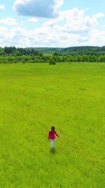 Güneşli bir günde yeşil çayırda yürüyen ve dinlenen bir kadın. Hava görüntüsü. 60 fp. Dikey Video