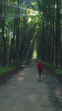 Güneşli bir sabahta yeşil sokakta koşan güzel, sağlıklı bir kadın. Güneş ışınları ağaçların arasından geçer. Drone geri uçuyor. Hava görüntüsü. Dikey Video