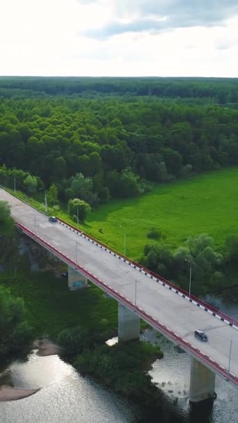 コンクリート橋で川を渡る車 グリーンフィールドと森 空中風景について バーティカルビデオ — ストック動画