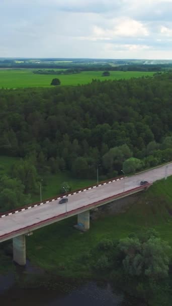 川を渡る橋の上を車が走っている グリーンフィールドと森 空からの眺め バーティカルビデオ — ストック動画