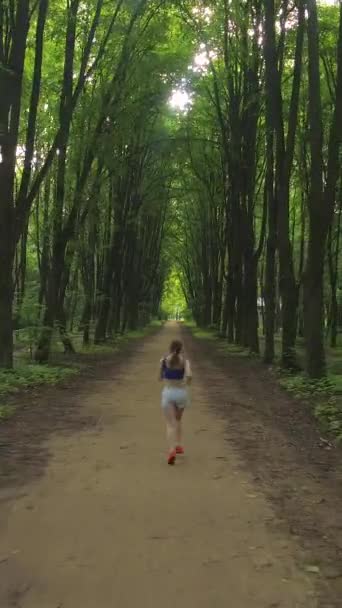 Jeune Belle Femme Jogging Dans Allée Verte Dans Matinée Ensoleillée — Video