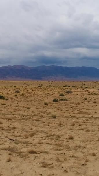 飞过沙质米色干枯的沙漠 多云的天空和背景上的小山 空中风景 垂直录像 — 图库视频影像