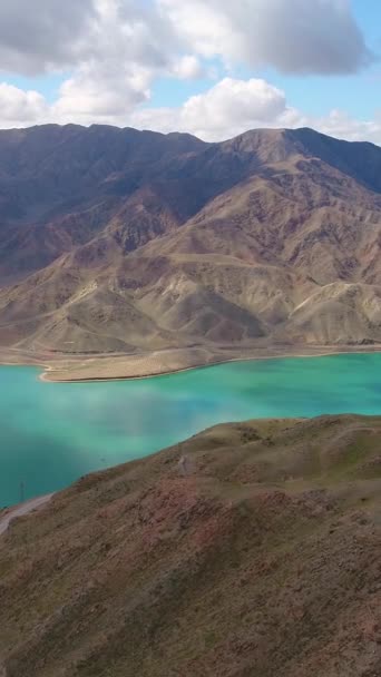 Salt Lake Deposits White Salt Aerial Vertical Top View Vertical — Stock Video