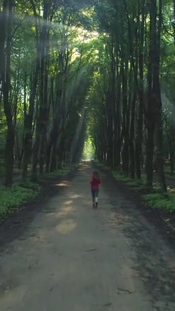 Νεαρή Γυναίκα Μακριά Μαλλιά Που Τρέχει Στο Όμορφο Πράσινο Σοκάκι — Αρχείο Βίντεο