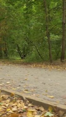 Genç Kafkasyalı kadın sonbaharda parkta bisiklet sürüyor. Kamera hareket ediyor. Düşük açılı sabit çekim. Ağır çekim. Dikey Video