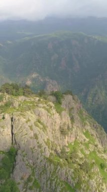 Rocky cliff ve yeşil tepeler. Hava görüntüsü. İnsansız hava aracı etrafta uçuyor. Dikey Video