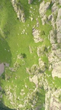Rocky cliff ve yeşil tepeler. Hava görüntüsü. Dikey çekim. Dikey Video