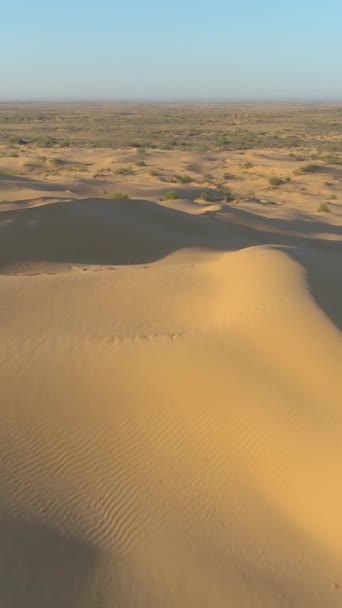 Drone Vliegt Soepel Grote Hoogte Zandduinen Woestijn Luchtfoto Verticale Video — Stockvideo