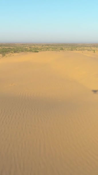 Drone Vliegt Soepel Zandduinen Woestijn Luchtfoto Verticale Video — Stockvideo