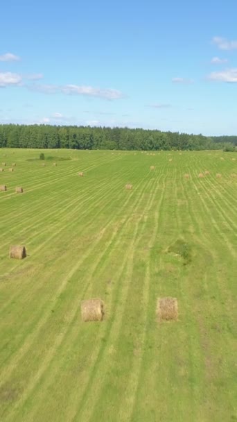 Heuhaufen Auf Der Grünen Wiese Sonnigen Tagen Drohne Fliegt Hin — Stockvideo