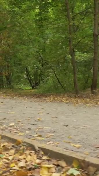 秋天的时候 年轻的高加索女人正在公园里骑自行车 摄像头在动了低角度稳定射击 慢动作垂直录像 — 图库视频影像