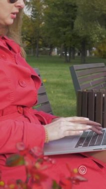 Kızıl Çukurda oturan kadın dizüstü bilgisayarda çalışıyor. Dikey Video