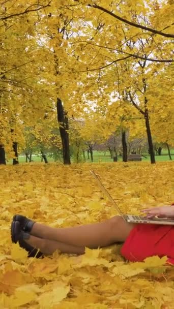 Kırmızı Pelerinli Uzun Saçlı Beyaz Bir Kadın Sonbaharda Parkta Sarı — Stok video
